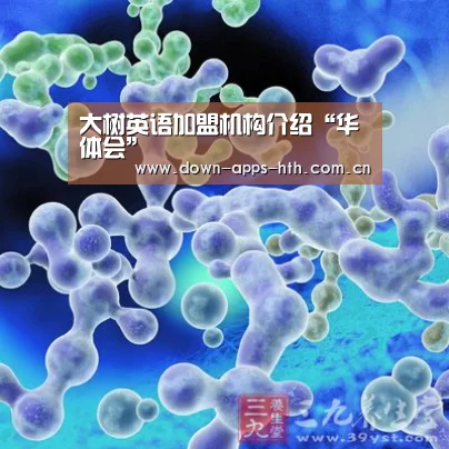 大树英语加盟机构介绍“华体会”(图2) 华体会
