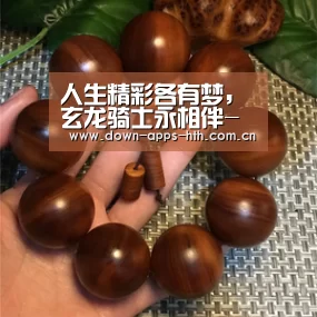 人生精彩各有梦,玄龙骑士永相伴-华体会(图1) 华体会