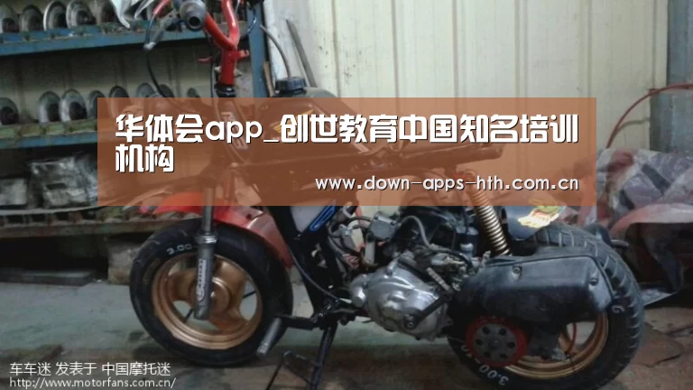华体会app_创世教育中国知名培训机构(图2) 华体会